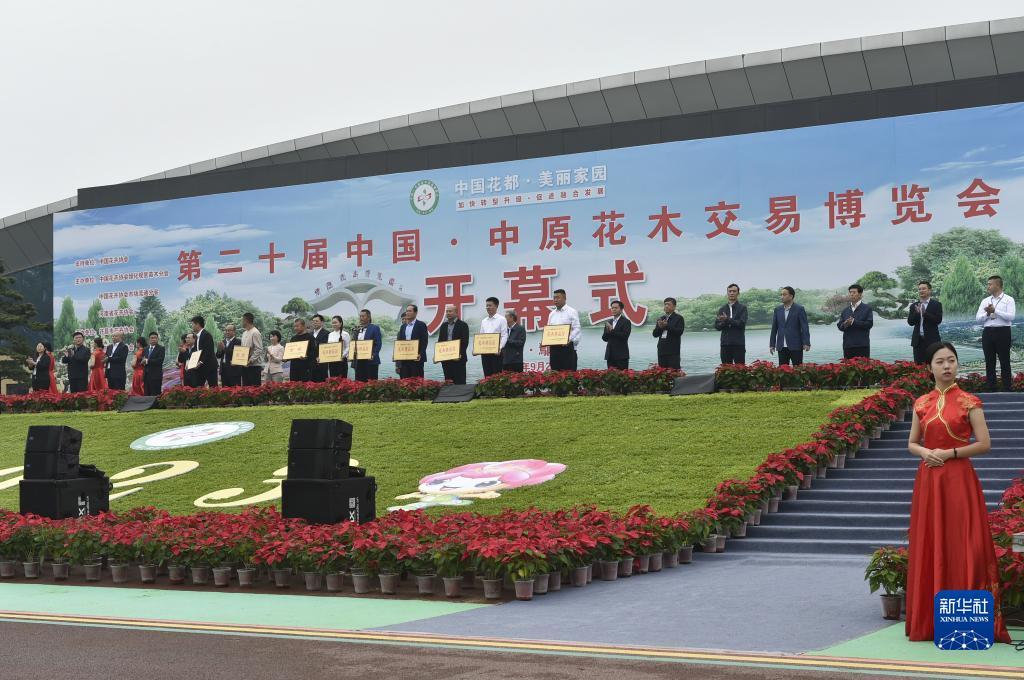 阿拉斗牛官网下载